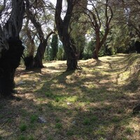 Island in Greece, Ionian Islands, Corfu, 6000 sq.m.