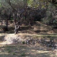 Island in Greece, Ionian Islands, Corfu, 6000 sq.m.