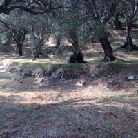 Island in Greece, Ionian Islands, Corfu, 6000 sq.m.