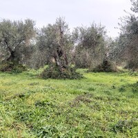 Остров в Греции, Ионические острова, Корфу, 2307 кв.м.