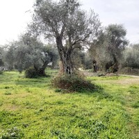 Остров в Греции, Ионические острова, Корфу, 2307 кв.м.