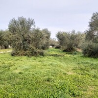 Остров в Греции, Ионические острова, Корфу, 2307 кв.м.