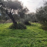 Остров в Греции, Ионические острова, Корфу, 2307 кв.м.