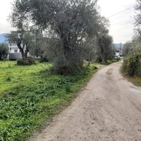 Остров в Греции, Ионические острова, Корфу, 2307 кв.м.