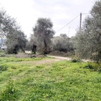 Остров в Греции, Ионические острова, Корфу, 2307 кв.м.