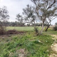 Остров в Греции, Ионические острова, Корфу, 2078 кв.м.