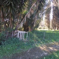 Island in Greece, Ionian Islands, Corfu, 2770 sq.m.