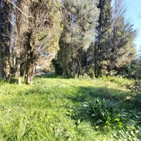 Island in Greece, Ionian Islands, Corfu, 2770 sq.m.