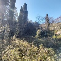 Island in Greece, Ionian Islands, Corfu, 2770 sq.m.