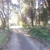 Island in Greece, Ionian Islands, Corfu, 2770 sq.m.