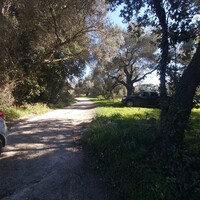 Island in Greece, Ionian Islands, Corfu, 2770 sq.m.