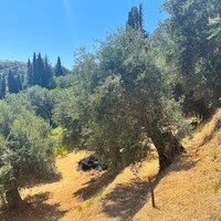 Island in Greece, Ionian Islands, Corfu, 1700 sq.m.