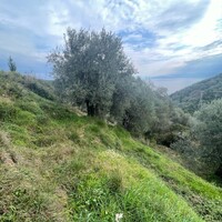 Island in Greece, Ionian Islands, Corfu, 1700 sq.m.