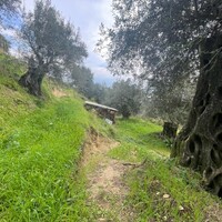 Island in Greece, Ionian Islands, Corfu, 1700 sq.m.