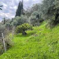 Island in Greece, Ionian Islands, Corfu, 1700 sq.m.