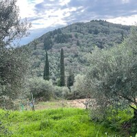 Island in Greece, Ionian Islands, Corfu, 1700 sq.m.