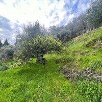 Island in Greece, Ionian Islands, Corfu, 1700 sq.m.