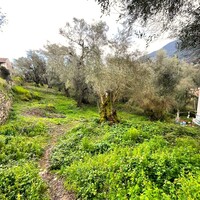 Island in Greece, Ionian Islands, Corfu, 482 sq.m.