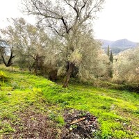 Island in Greece, Ionian Islands, Corfu, 482 sq.m.