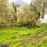 Island in Greece, Ionian Islands, Corfu, 482 sq.m.