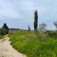 Island in Greece, Ionian Islands, Corfu, 6500 sq.m.