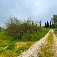 Island in Greece, Ionian Islands, Corfu, 6500 sq.m.