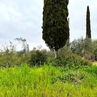 Island in Greece, Ionian Islands, Corfu, 6500 sq.m.