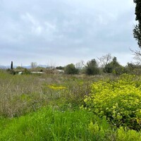 Island in Greece, Ionian Islands, Corfu, 6500 sq.m.