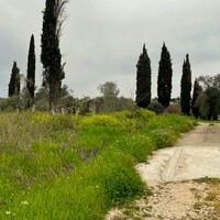 Island in Greece, Ionian Islands, Corfu, 6500 sq.m.
