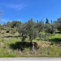 Island in Greece, Ionian Islands, Corfu, 3500 sq.m.