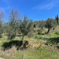 Island in Greece, Ionian Islands, Corfu, 3500 sq.m.