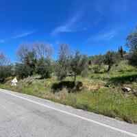 Island in Greece, Ionian Islands, Corfu, 3500 sq.m.