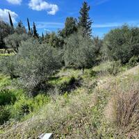 Island in Greece, Ionian Islands, Corfu, 3500 sq.m.