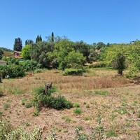 Остров в Греции, Ионические острова, Корфу, 2500 кв.м.