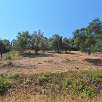 Остров в Греции, Ионические острова, Корфу, 932 кв.м.