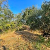 Остров в Греции, Ионические острова, Корфу, 1047 кв.м.