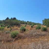 Остров в Греции, Ионические острова, Корфу, 6500 кв.м.
