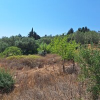 Остров в Греции, Ионические острова, Корфу, 6500 кв.м.