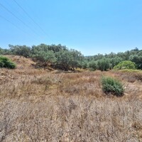 Остров в Греции, Ионические острова, Корфу, 6500 кв.м.