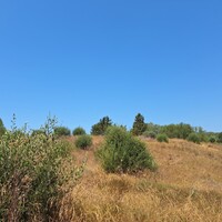 Остров в Греции, Ионические острова, Корфу, 6500 кв.м.