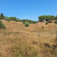 Остров в Греции, Ионические острова, Корфу, 6500 кв.м.