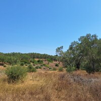 Остров в Греции, Ионические острова, Корфу, 6500 кв.м.