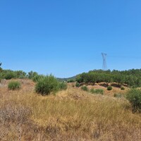 Остров в Греции, Ионические острова, Корфу, 6500 кв.м.