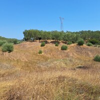 Остров в Греции, Ионические острова, Корфу, 6500 кв.м.