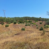Остров в Греции, Ионические острова, Корфу, 6500 кв.м.