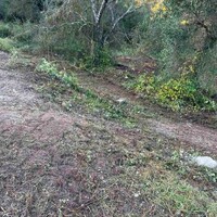 Остров в Греции, Ионические острова, Корфу, 2564 кв.м.