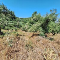 Остров в Греции, Ионические острова, Корфу, 4028 кв.м.