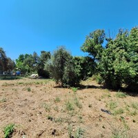 Остров в Греции, Ионические острова, Корфу, 4600 кв.м.