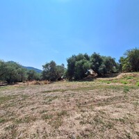 Island in Greece, Ionian Islands, Corfu, 12000 sq.m.