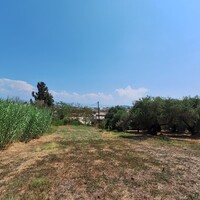 Island in Greece, Ionian Islands, Corfu, 12000 sq.m.